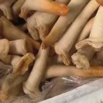 象拔蚌头