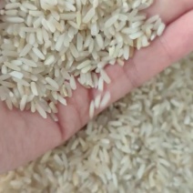 长期生产直销色选米干净新鲜稻谷加工，保质保量
