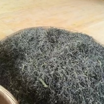 簿菏塘头春