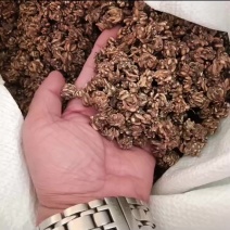 野生猫爪草