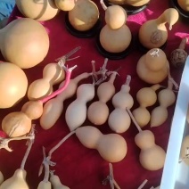 精品葫芦
