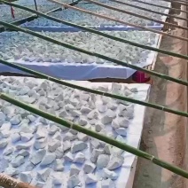 四川红薯粉