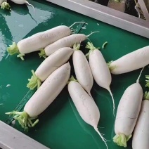 白，条形好