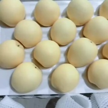 精品皇冠梨