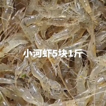 用小河虾速冻小河虾小河虾5块1斤新鲜小河虾入