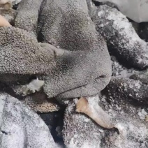 水煮羊肚