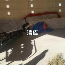 纯土豆粉条