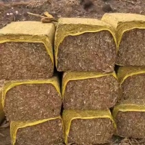 玉米秸秆！人工扎断草块