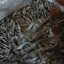 葵花