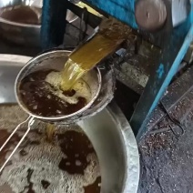 正宗地道纯老树小籽山茶油，