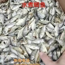 水煮中偏小鲫鱼，十成干，质量好