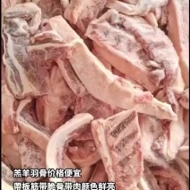 羔羊羽骨价格便宜