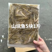 山坑鱼5块1斤#好吃的家常菜食蚊鱼5块1斤