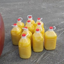 滦州花生油