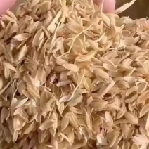 压缩圆壳