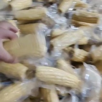 滨州黑甜糯玉米，对接电商平台，社区团购，多多买菜，支持一