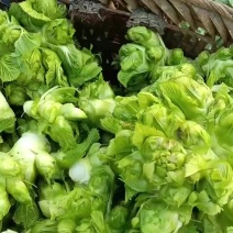 贵州本地儿菜