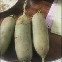 地窖货