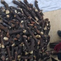 大个羊蹄