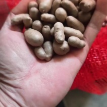 麻山药豆