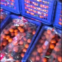 沙糖桔，湖南麻阳冰糖橙