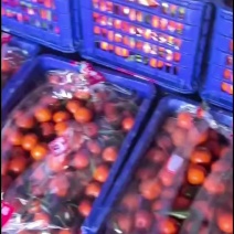 湖南麻阳冰糖橙，沙糖