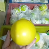 黄晶果