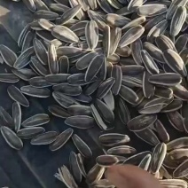 葵花