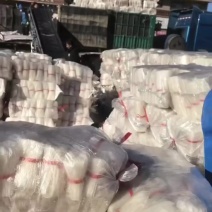 纯土豆粉条
