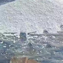 红薯淀粉