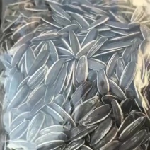 王可以瓜子厂葵花籽
