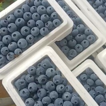 L25L11