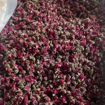 金边玫瑰新货好货现货