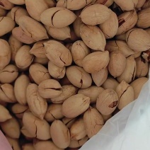 碧根果，商超精品，支持各大电商一件代发
