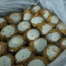稻糠松花蛋半包泥，全包泥可定制。质量保证