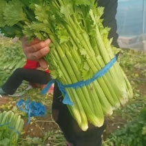 西芹
