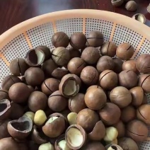 精品夏威夷果仓储直接发货一件代发