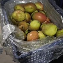 农户红香酥
