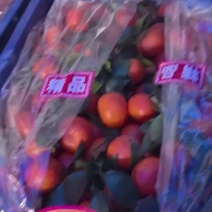 精品沙糖桔，冰糖橙
