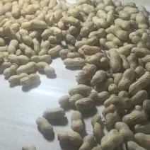 精选黑花生果