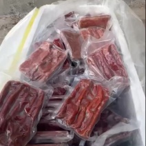 专业海肠批发