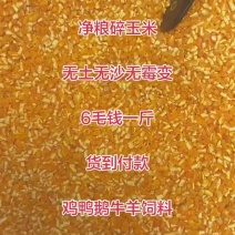 碎玉米