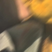 桑黄，种植，精品货