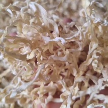 雪白玉木耳丝自产自销量大从优白木耳丝一斤也是**批发价