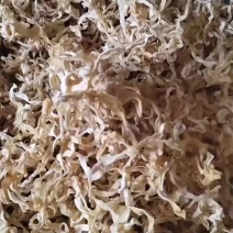 纯丝白玉木耳丝自产自销白木耳丝颜色纯白木耳丝全网***格