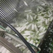 箩卜
