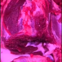 牛肉批发