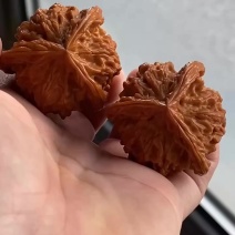 看看咱们家核桃的骨质和皮质三棱开角都特别正有需要的老板联