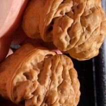 大尺寸蛤蟆头有腿有眼有开背