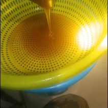 深山土蜂蜜